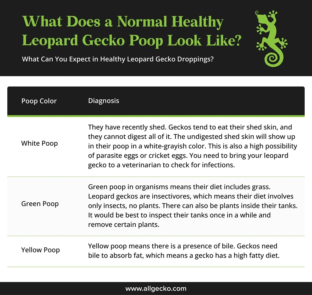 A graphic table for What Can You Expect in Healthy Leopard Gecko Droppings