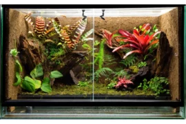 Leopard Gecko enclosure with outdoor plants