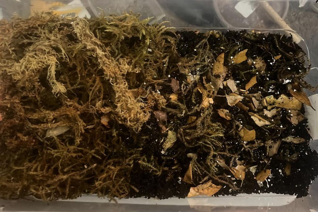 DIY substrate on a plastic container
