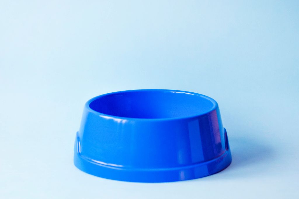 clean water bowl