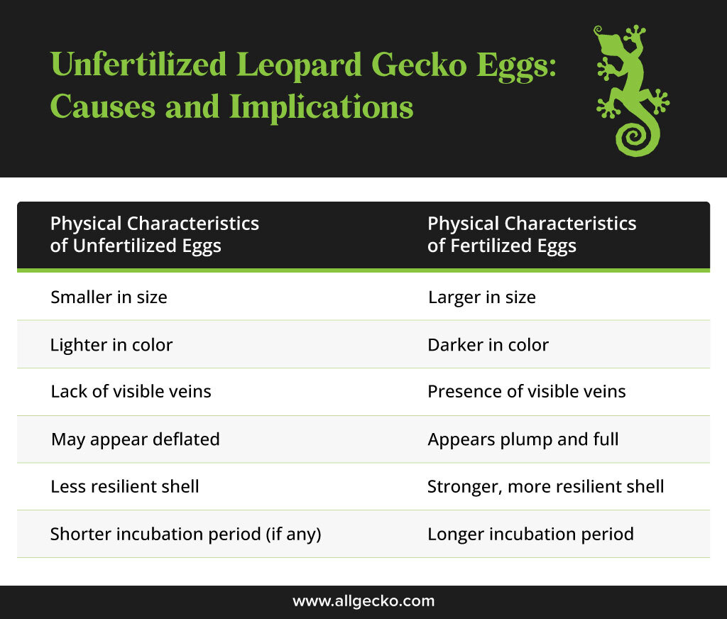 unfertilized vs fertilized leopard gecko egg comparison table