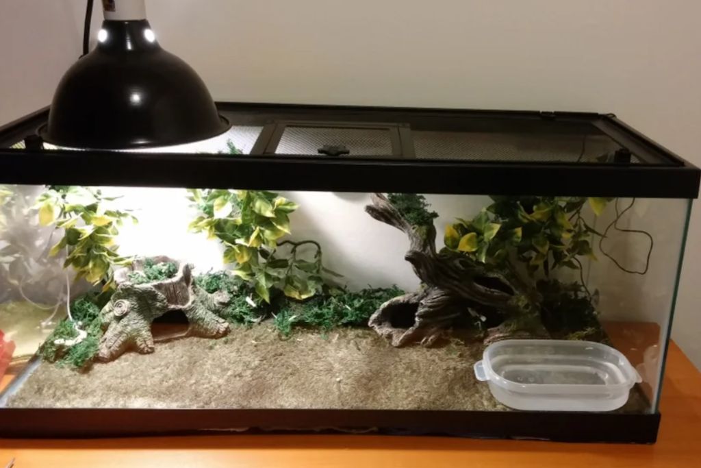 enclosure with heating light on top